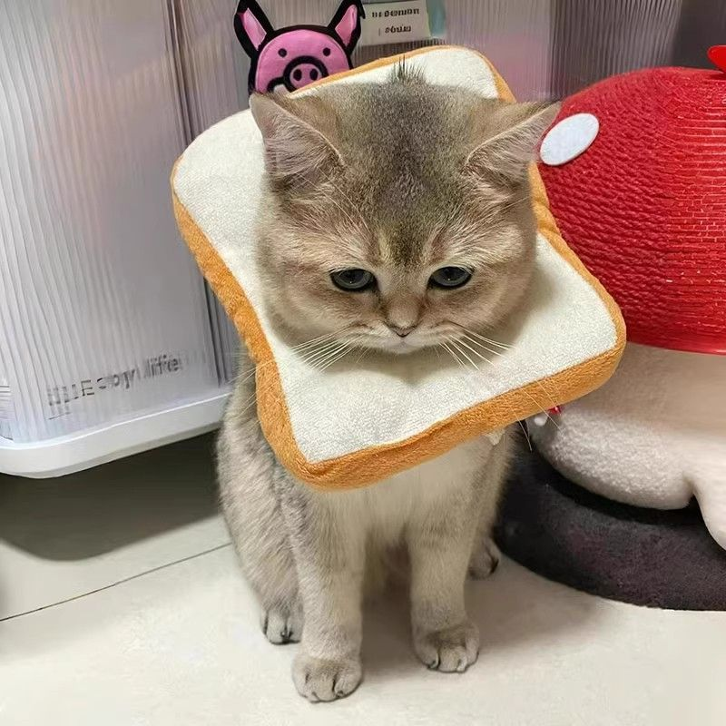 伊丽莎白圈宠物头套猫咪绝育防舔咬吐司面包圈软项圈狗狗防舔神器,宠物/宠物食品及用品,宠物伊丽莎白圈,淘宝优惠券,粉丝福利购,淘宝优惠卷