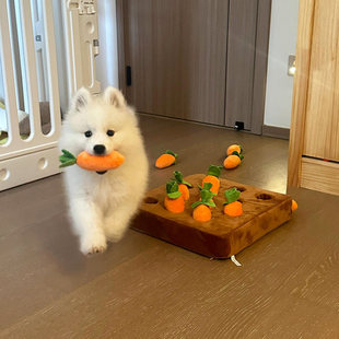 狗狗玩具磨牙耐咬自嗨解闷神器宠物互动型啃咬玩偶泰迪比熊闻嗅垫