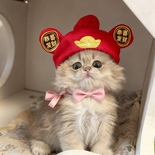 宠物小猫帽子财神变装帽小狗猫咪拜年保暖喜庆搞怪露耳朵毛绒头套