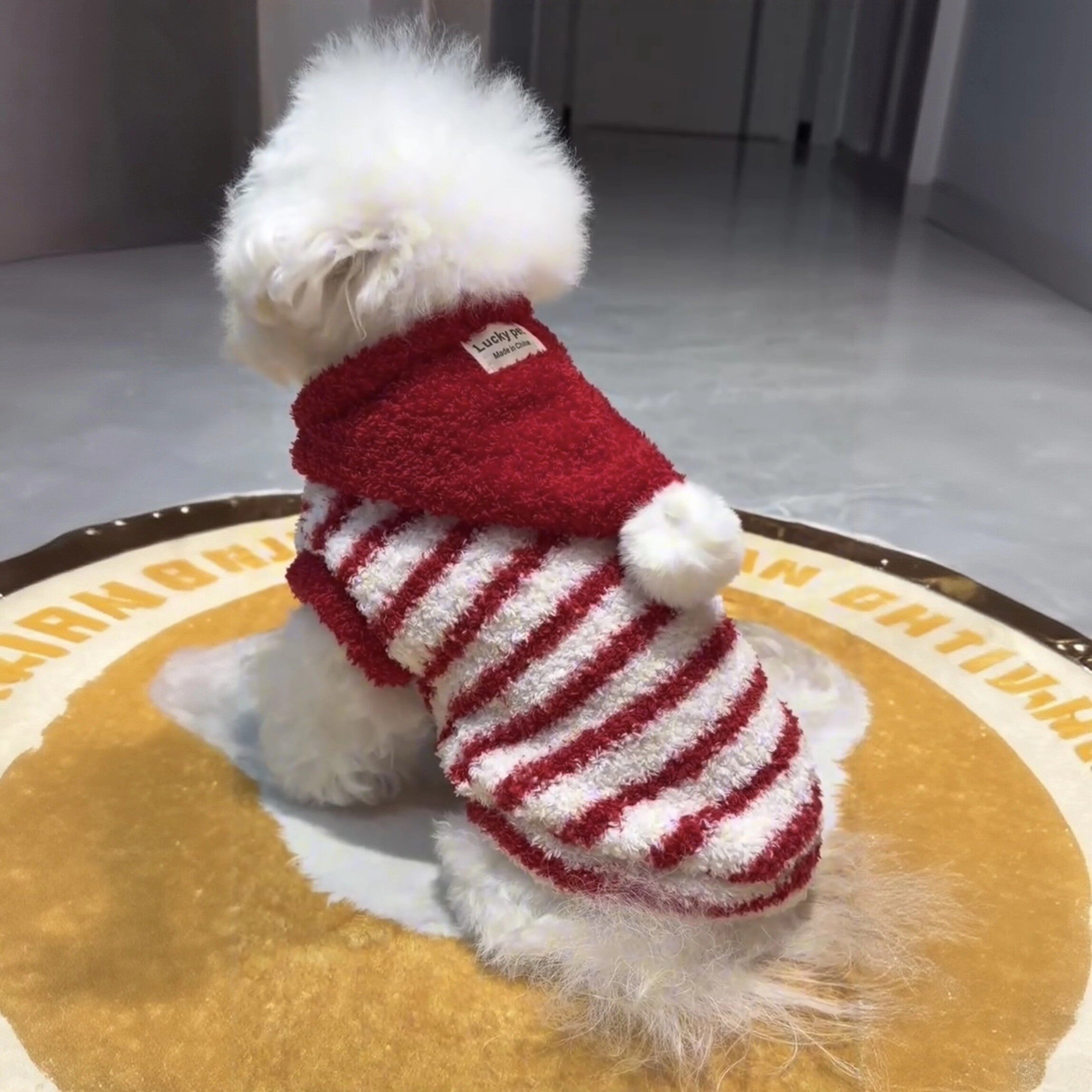 狗狗新年装秋冬宠物可爱小红帽毛绒加厚背心喜庆红色条纹保暖棉衣