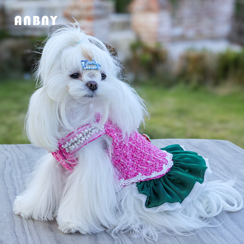 安贝妮轻奢小香风狗狗衣服秋冬保暖吊带裙子小型犬贵宾宠物连身裙