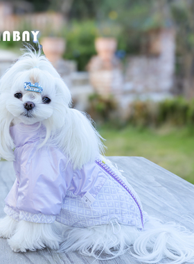 安贝妮狗狗衣服秋冬可爱中小型犬泰迪贵宾比熊雪纳瑞紫色宠物棉衣