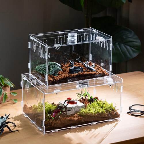 甲虫饲养盒透明亚克力爬虫饲养箱蜗牛小型昆虫独角仙幼虫套装盒子