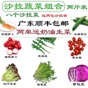 沙拉蔬菜组合新鲜套餐健身即食八混合装轻食材生吃即食生菜沙拉酱