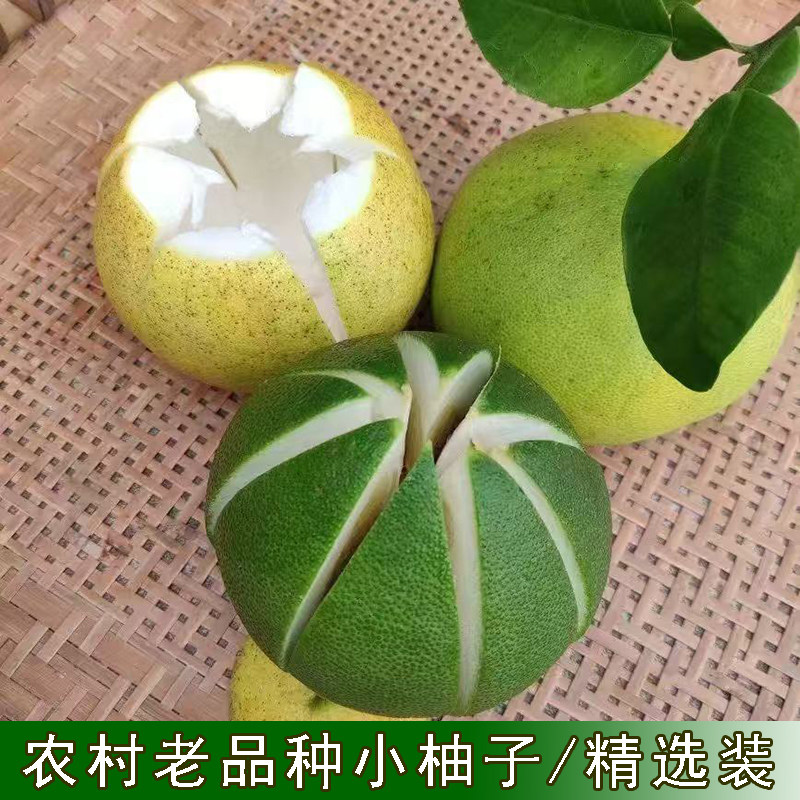 自种土柚子可除异味老树采摘小柚子原始品种蜜柚果皮颜色随季节发