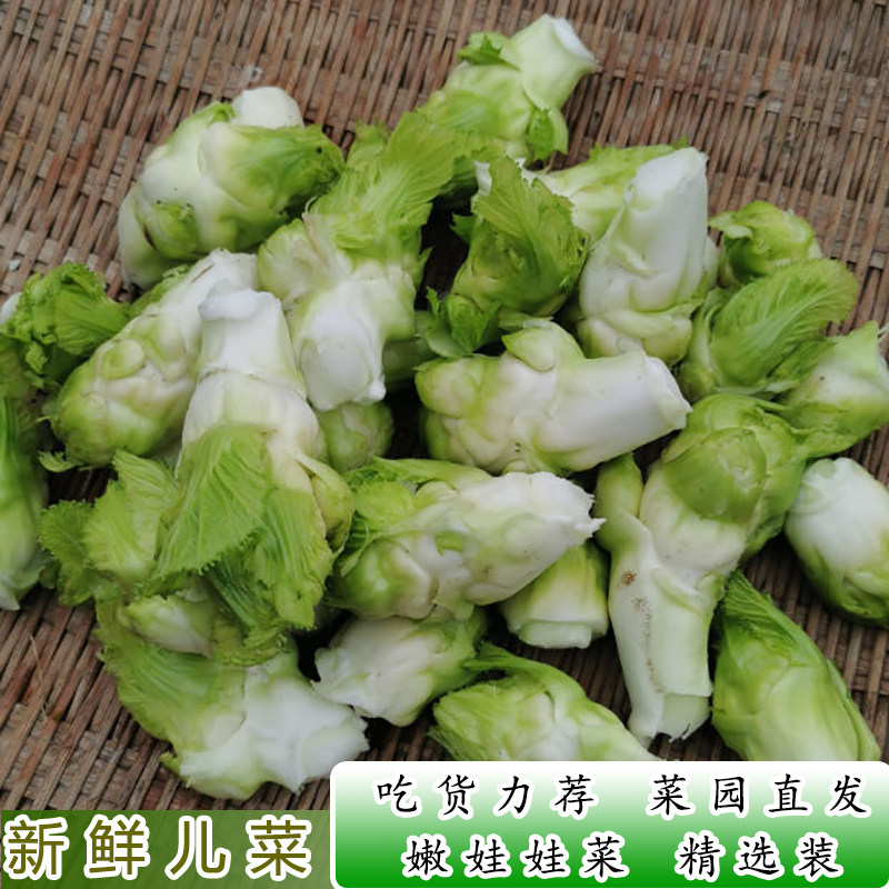 农家自种儿菜娃娃菜抱儿菜
