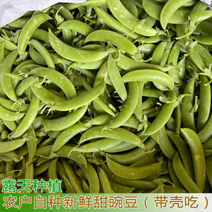 甜豆带壳甜豆青豆鲜豌豆荚青豌豆