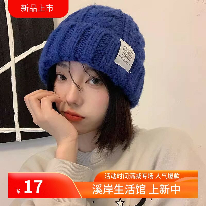 秋冬时尚针织帽女款韩版时尚麻花毛线帽保暖护耳多色可选休闲