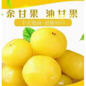 独立小包装 情人果脆甜油甘滇橄榄油柑油甘果余甘果蜜饯