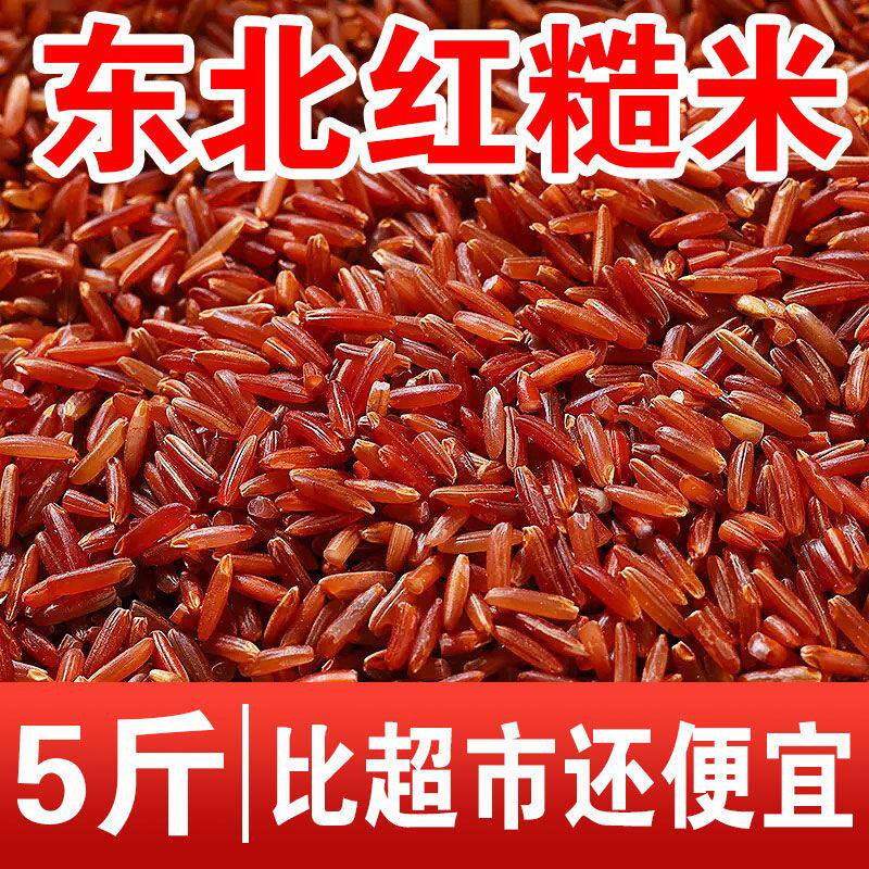 东北红米新米3/5斤 五谷杂粮吃的红米粳米红香米红血稻糙米红糙米