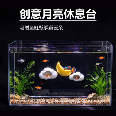 鱼缸造景月亮斗鱼休息台