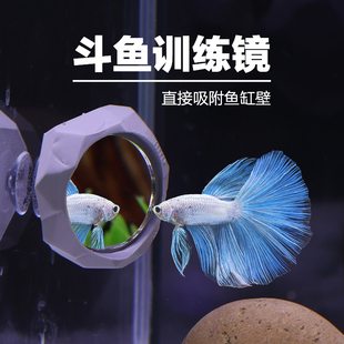 鱼缸造景摆件泰国斗鱼训练镜雷龙鼓鳃互动镜罗汉起头爆头缸内镜子