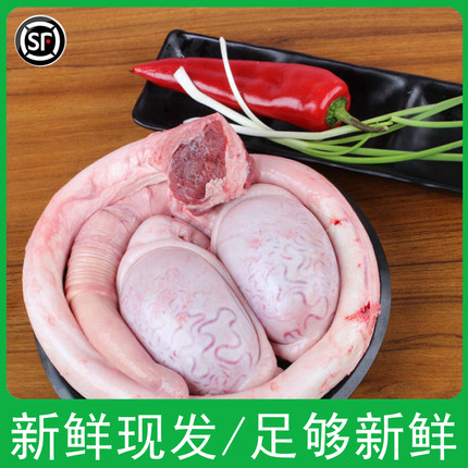 新鲜牛鞭整根全套牛蛋牛宝牛三宝整只黄牛鞭生鲜食材顺丰到家