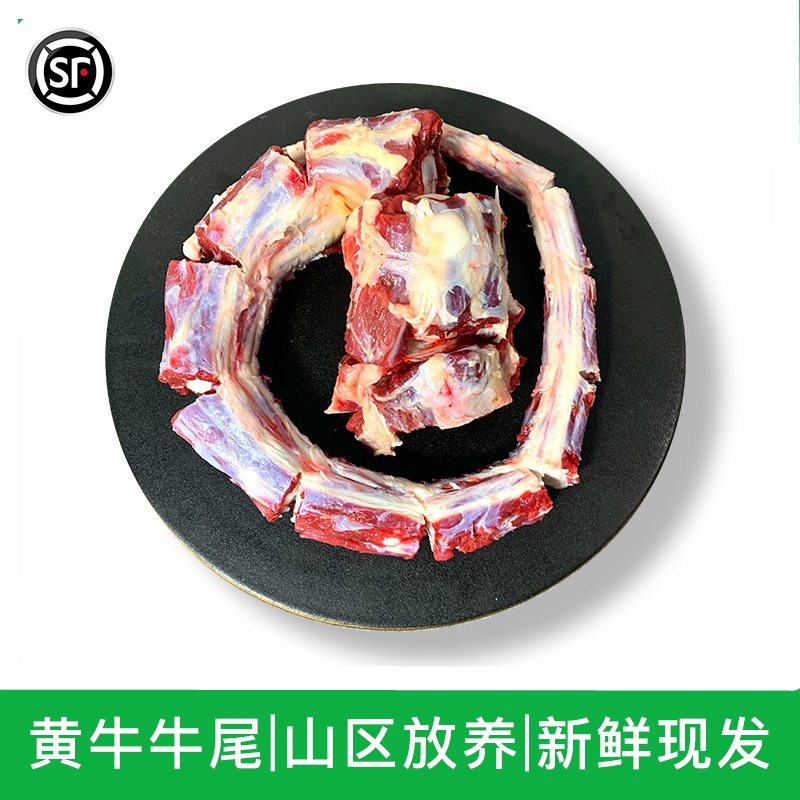 牛尾骨宝宝辅食新鲜牛尾黄牛整根