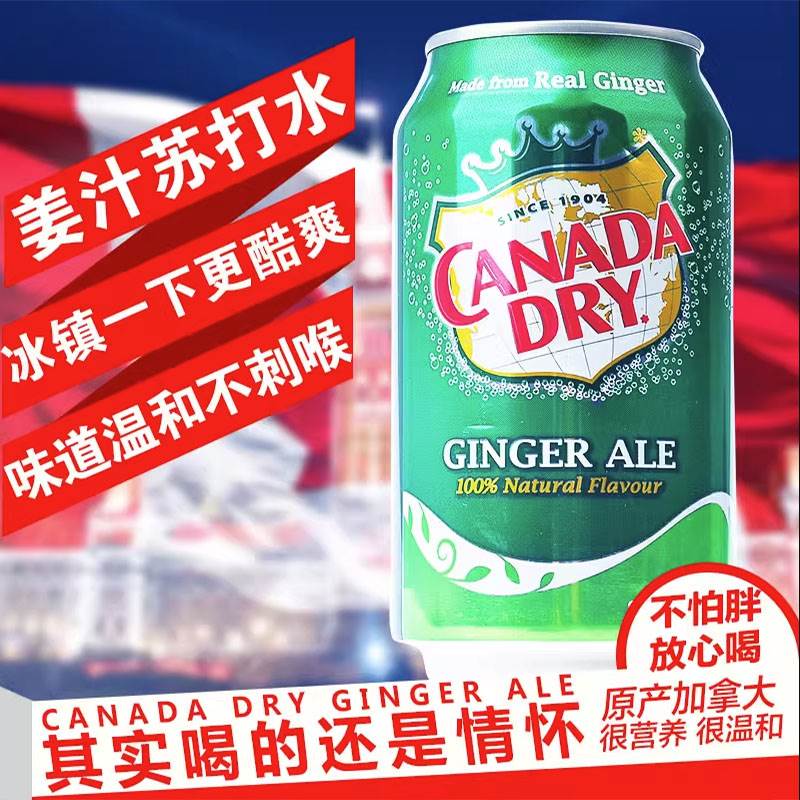 包邮加拿大Canada dry Ginger Ale 姜汁汽水干姜水生姜水6罐饮料