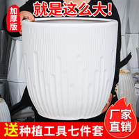 陶瓷大花盆北歐現(xiàn)代送貨上門