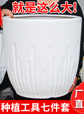 陶瓷大花盆白色简约大号家用客厅落地兰花虎皮兰天堂鸟绿植种树盆