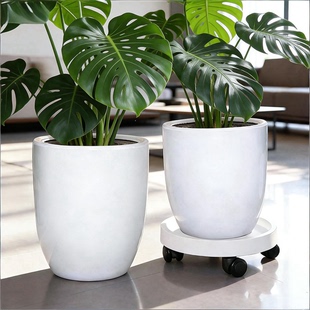 陶瓷花盆带托盘大号特大号现代简约风欧式家用室内天堂鸟发财树