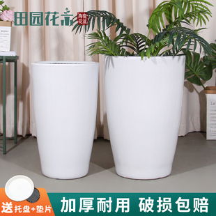 现代欧式简约陶瓷花盆高筒纯白家用客厅阳台落地加厚种树摆件绿植