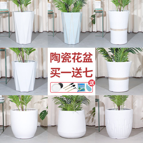 特大号陶瓷花盆大口径家用客厅落地发财树龟背芋专用白色几何花瓶