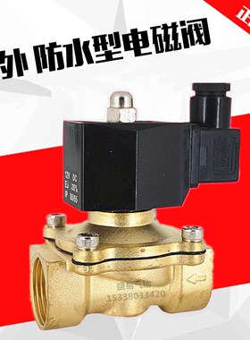 1寸室外专用防水电磁阀水阀开关阀2W250-25 防雾气阀AC220V DC24V