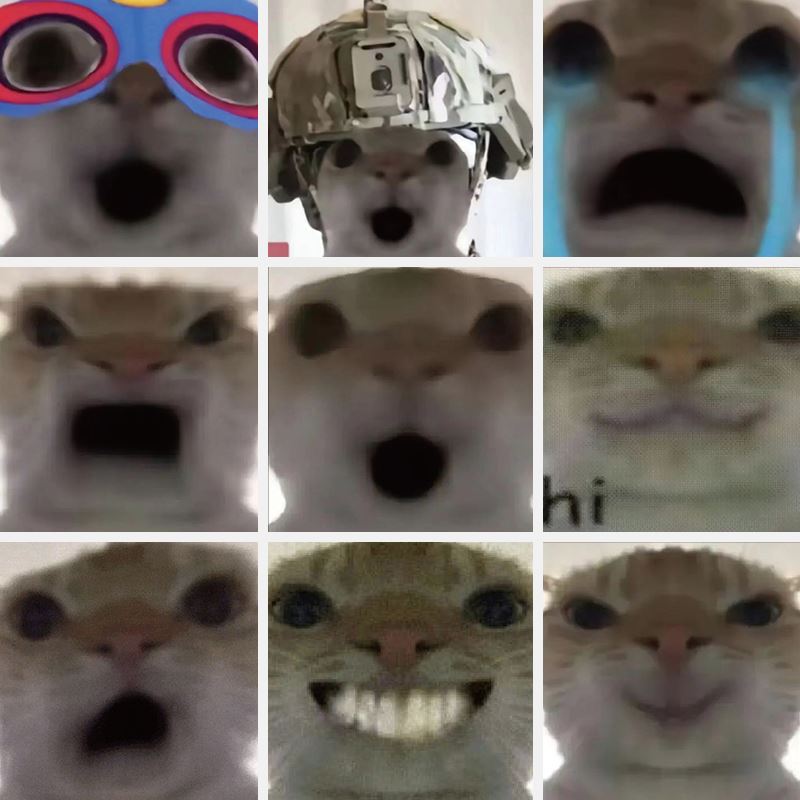 发疯猫猫头高糊网红评论区创意卡通地铁逃生鼠鼠表情包贴纸