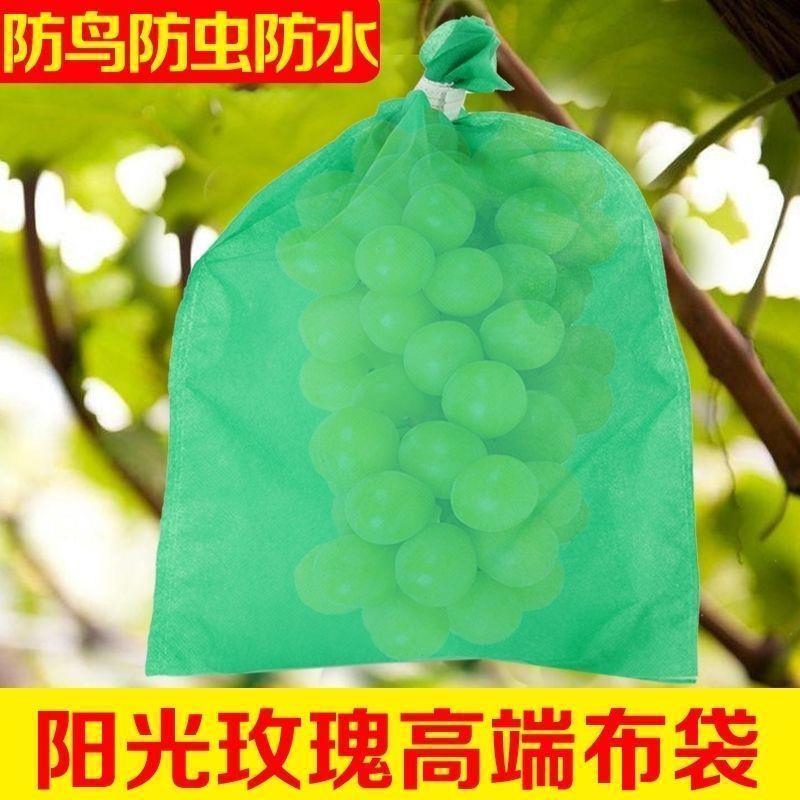 热销葡萄不织布套袋阳光玫瑰防鸟防水防雨防虫提子育苗果套袋网袋