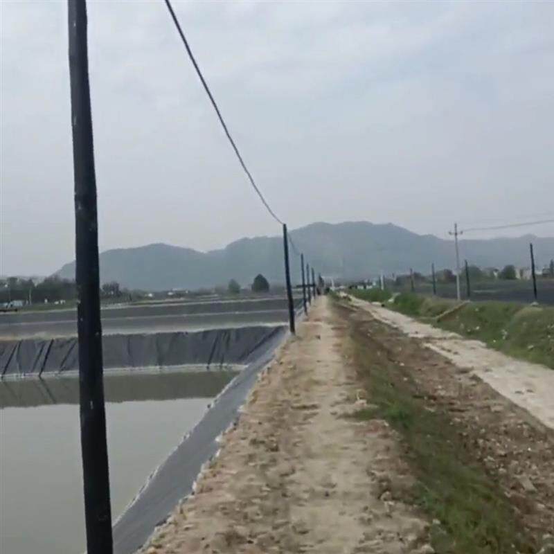 热销防鸟线驱鸟专用高强尼龙鱼线织网路线赶鸟线大卷胶丝线
