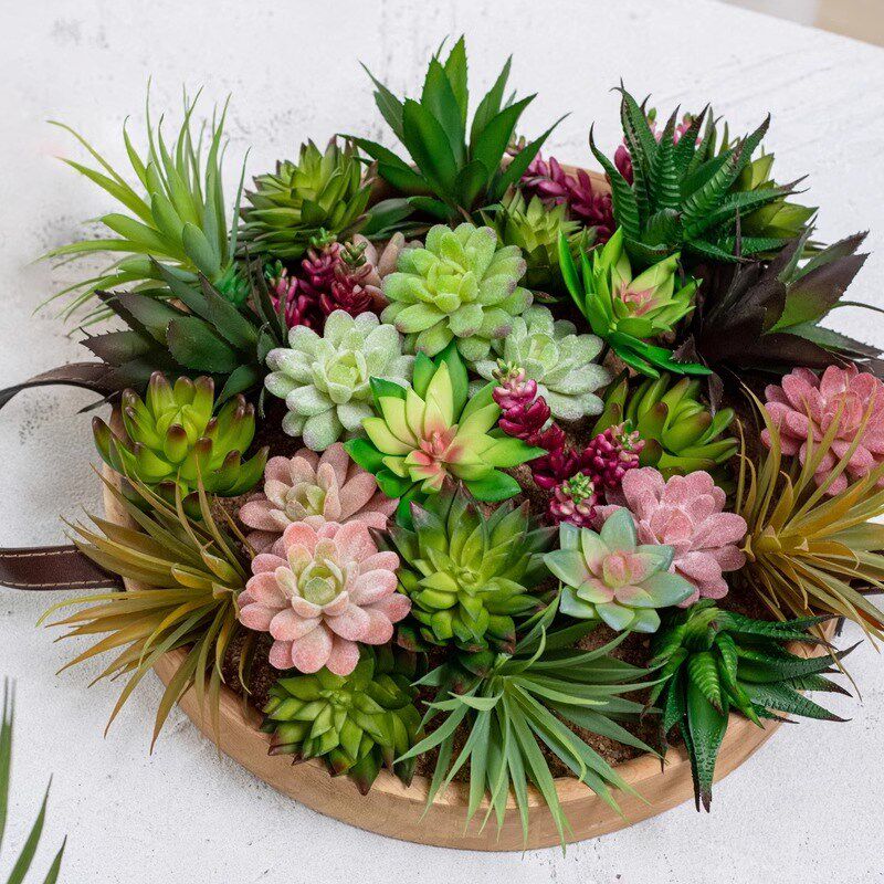 热销彷真多肉植物绿植小盆景观音莲佛手莲芦荟彷真多肉植物绿植小