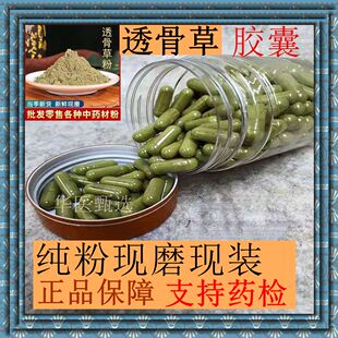 透骨草胶囊野生透骨草粉中药材凤仙透骨草粉现磨无添加纯粉正品