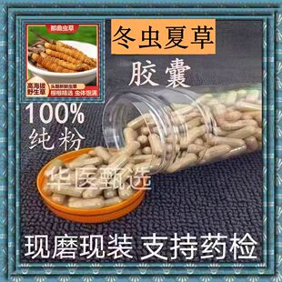 冬虫夏草胶囊现磨西藏那曲精猝粉纯无添加低温破壁打粉正品包邮
