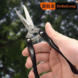 不锈钢剪刀树枝剪园艺剪刀盆栽摘水果枝剪高硬度锋利厨房剪刀