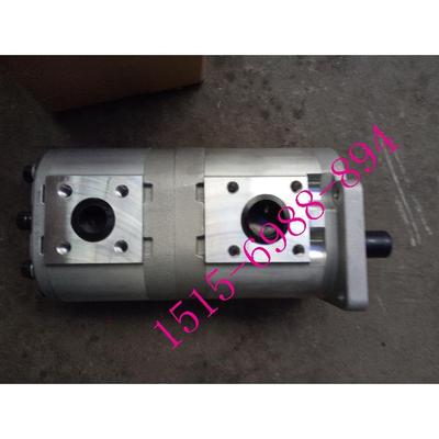 CBQL-E563/F540-CFHL CFPL合肥赛源液压泵 双联齿轮油泵 环卫车泵