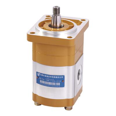 合肥长源液压齿轮马达CMWY-F212.5-CFZS CFZL 原装正品油泵马达