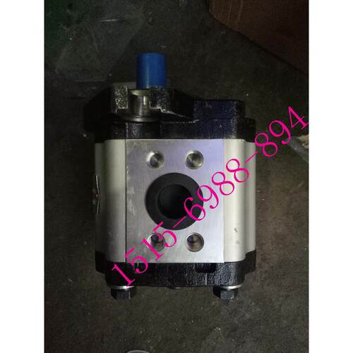 CBTCX-F420-ALΦ原装正品HCHC合肥长源液压齿油泵CBTCX-F420-ALφ