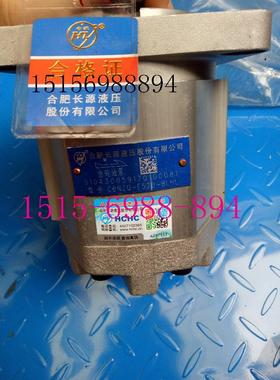 CBNZQ-E550-BLPL合肥长源液压齿轮油泵CBNZQ-F550-BLHL原装正品