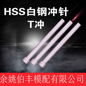 。模具配件厂家直销五金模T冲直身冲针白钢冲针HSS D9.1-D11