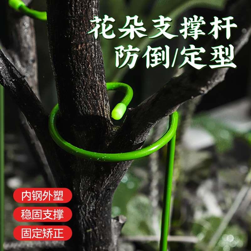 卡扣式花枝撑杆防倒定型固定器花草支撑架花卉扶正绿植保护植物架图片