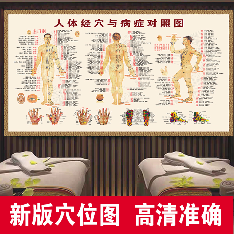 人体经络穴位标准大图海报挂图