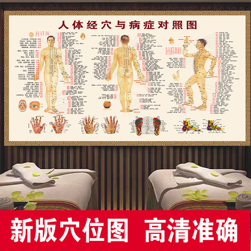人体经络穴位标准大图海报挂图