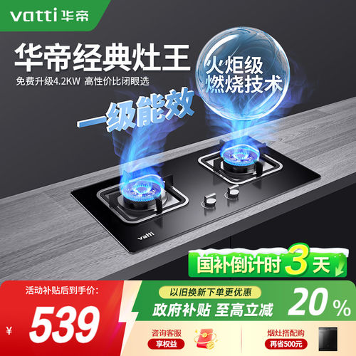 [政府补贴]华帝经典灶王一级