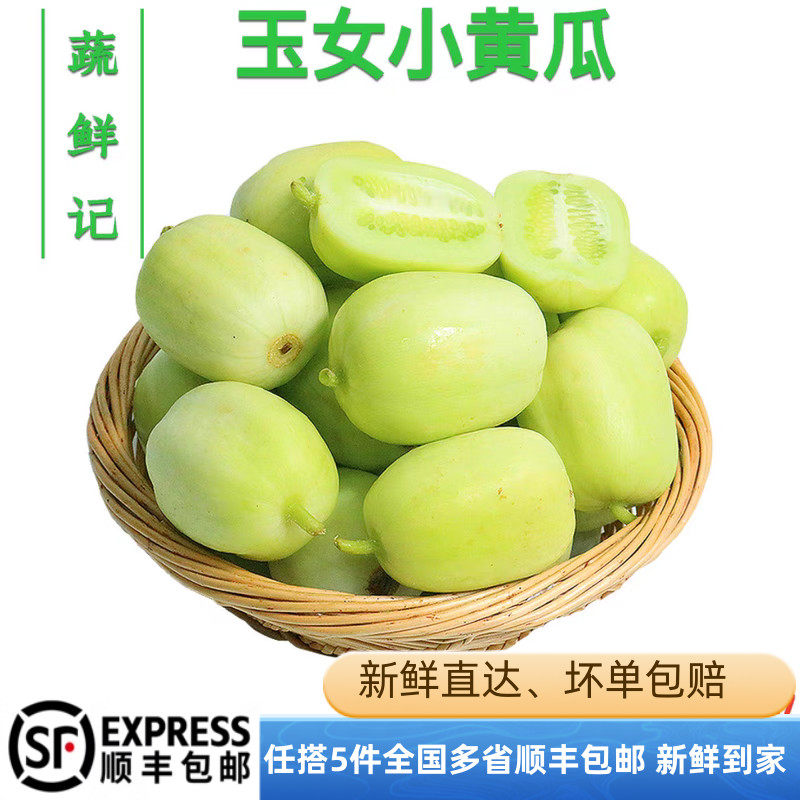 新鲜玉女黄瓜水果小黄瓜白玉黄瓜小拇指青瓜现摘生吃蔬菜包邮,水产肉类/新鲜蔬果/熟食,黄瓜,淘宝优惠券,粉丝福利购,淘宝优惠卷