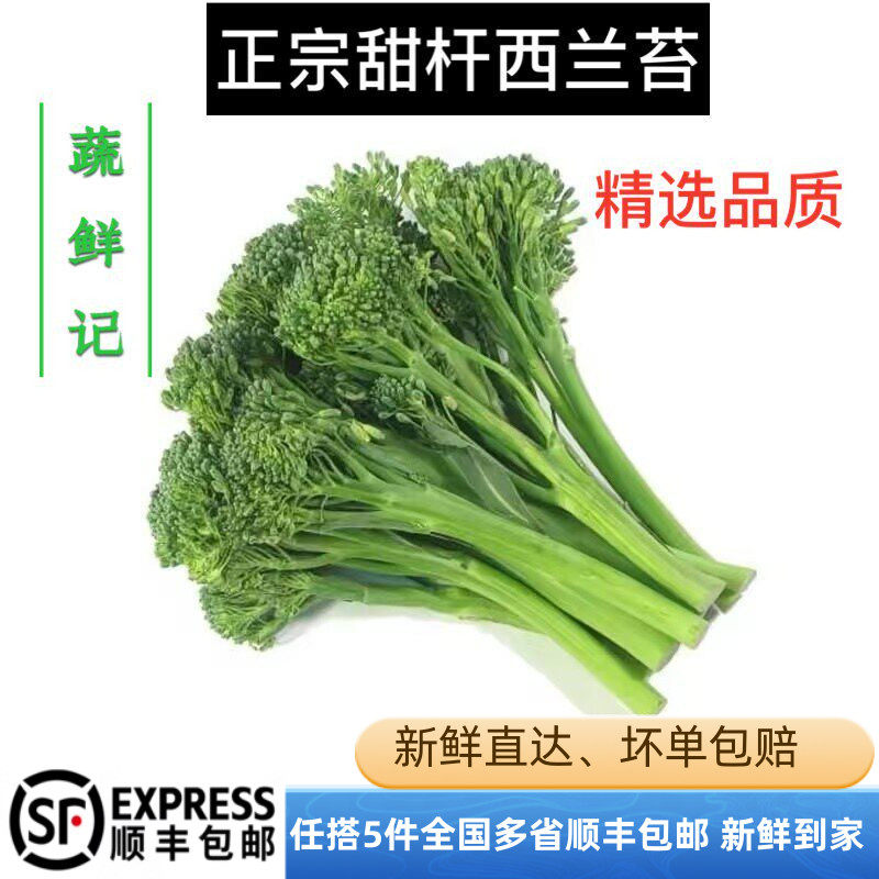 新鲜甜杆西兰花西兰苔兰花苔芦笋西兰苔迷你西兰花宁夏手指兰花苔