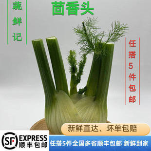 西餐配菜 新鲜香料茴香头茴香菜茴香根茴香球茎 西餐料理香料