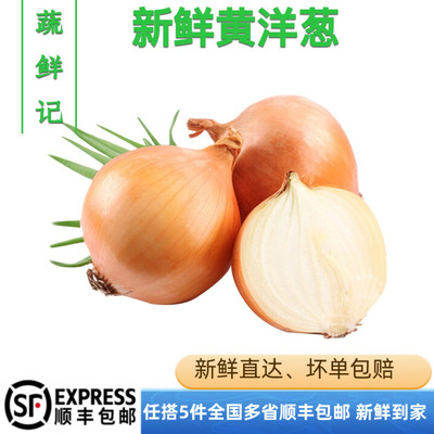 【蔬鲜记】新鲜 黄洋葱 500g白黄洋葱白洋葱