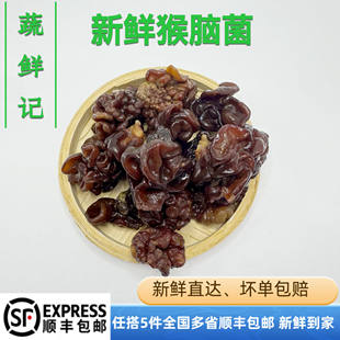 【蔬鲜记】新鲜猴脑菌核桃菌玛卡菌珍珠菌五件包邮真空包装新鲜