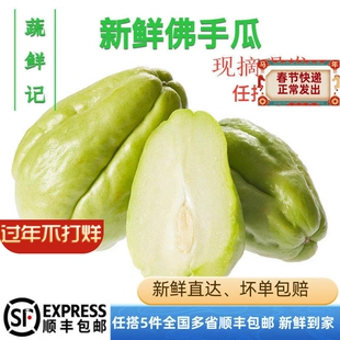 新鲜佛手瓜500克【任搭5份包邮】新鲜蔬菜 合掌 洋瓜 寿瓜 洋丝瓜