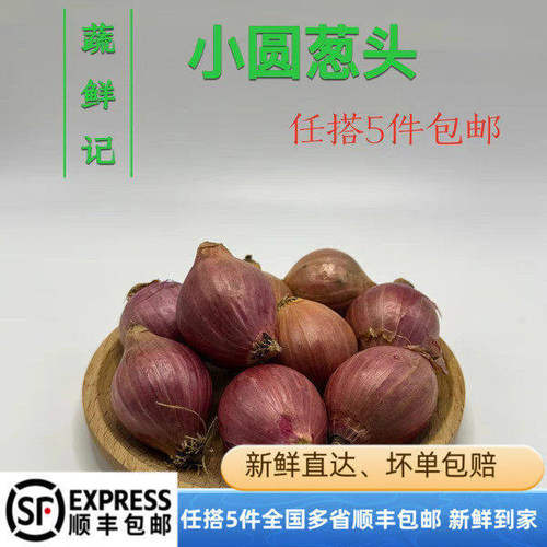 新鲜农家鬼子葱小圆葱红葱头珠葱笨毛葱头西餐摆盘小洋葱餐饮佐料