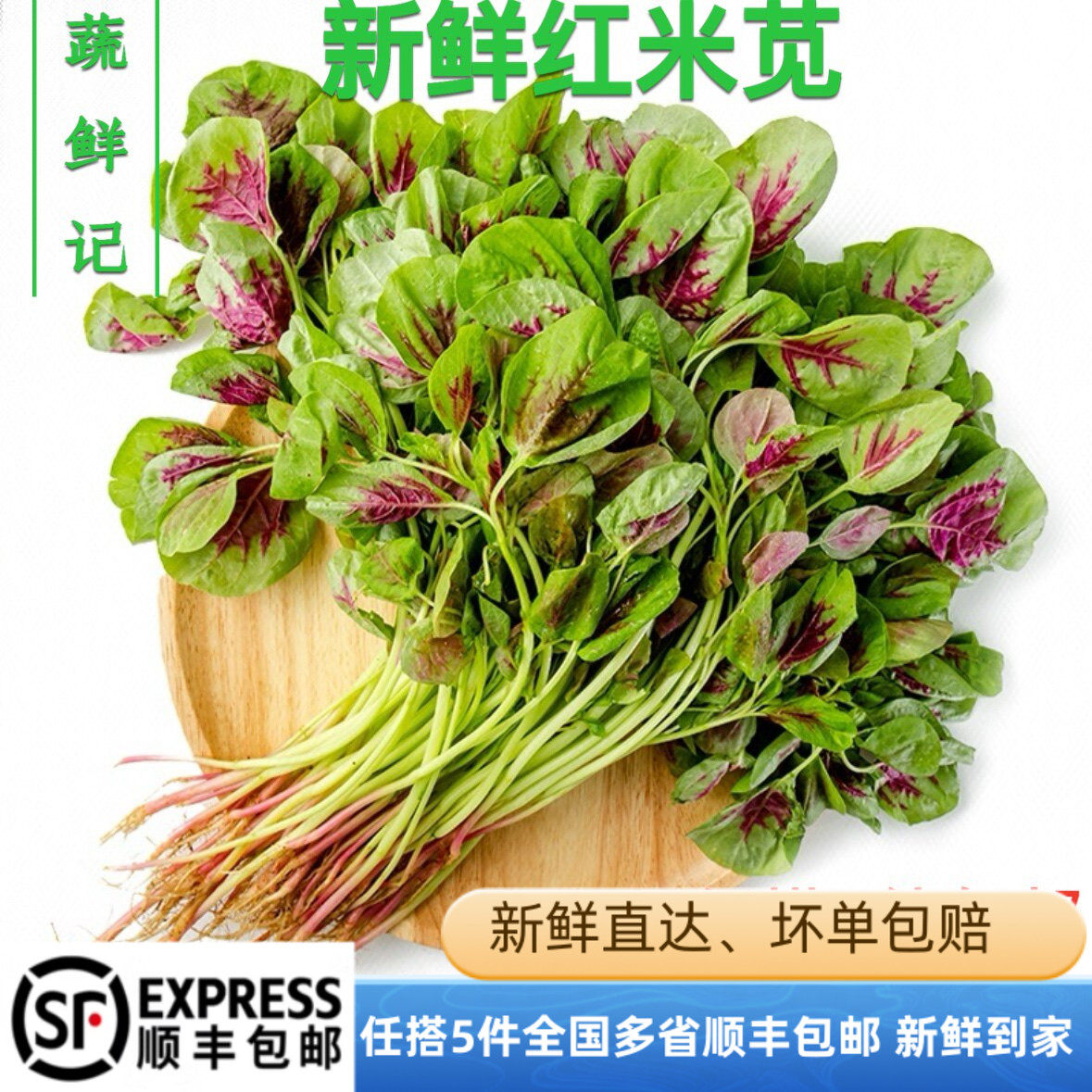 【蔬鲜记】新米苋菜新鲜蔬菜红苋菜红米苋农家自种春季头茬绿苋菜