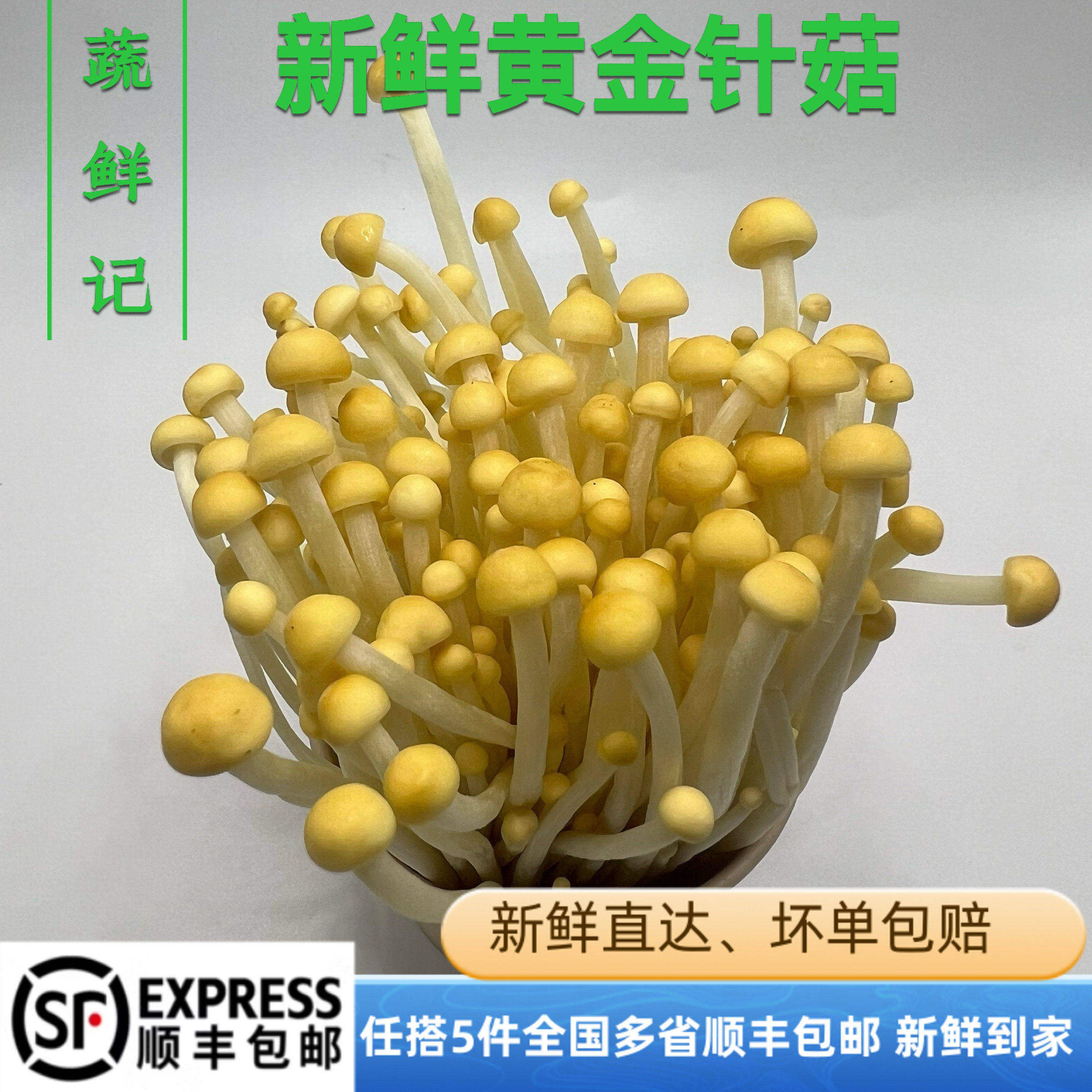 新鲜黄金针菇新鲜蘑菇食用菌菇火锅食材涮蔬菜煲汤约200克/盒